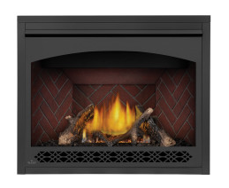 Napoleon Ascent GX42 Direct Vent Gas Fireplace